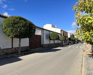Exterior view of Residential for sale in Valdepeñas
