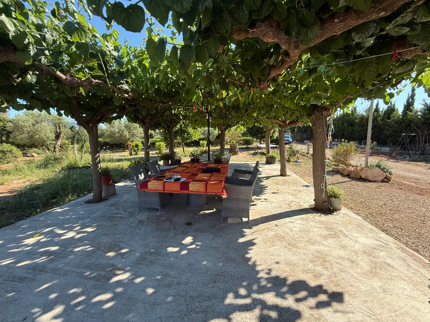 Terraza de Casa o chalet en venta en Alcover con Parquet, Terraza y Piscina