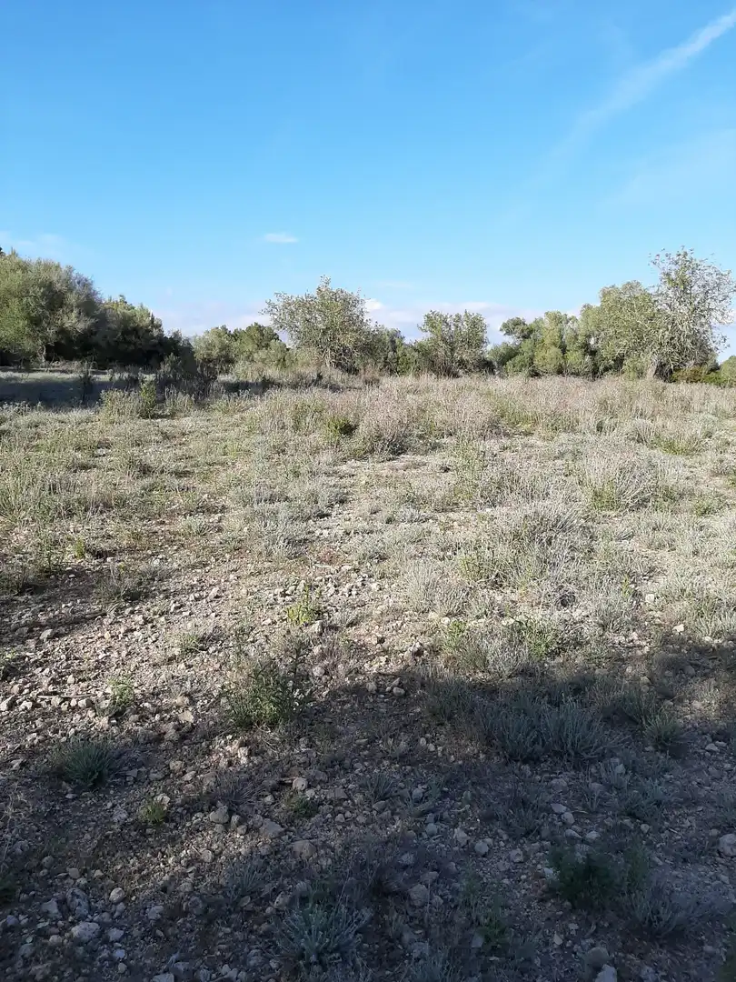 Terrain rustique à vendre à Sant Joan, imagen 10