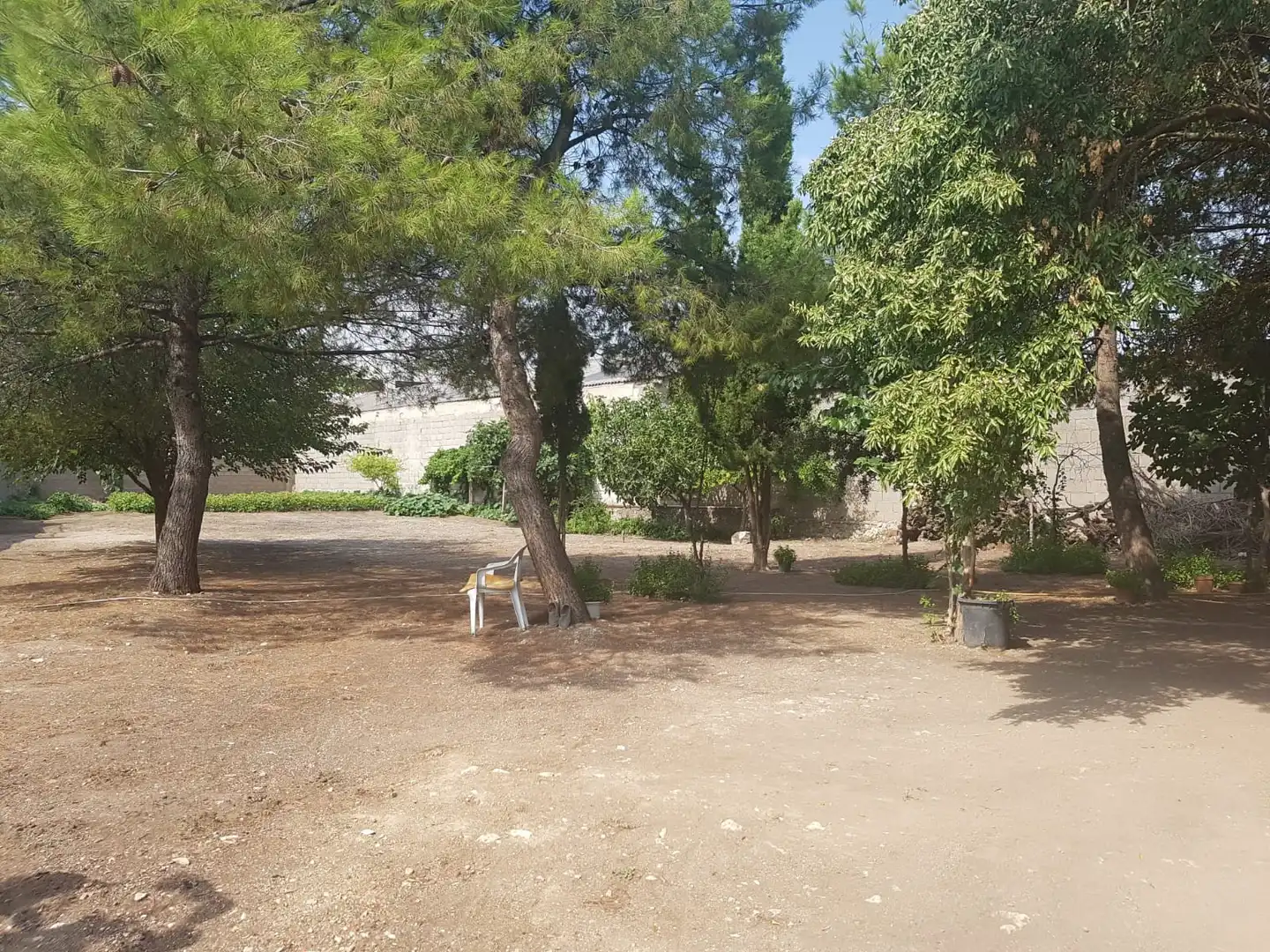 Lands and plots for sale in Corral de Almaguer, imagen 9