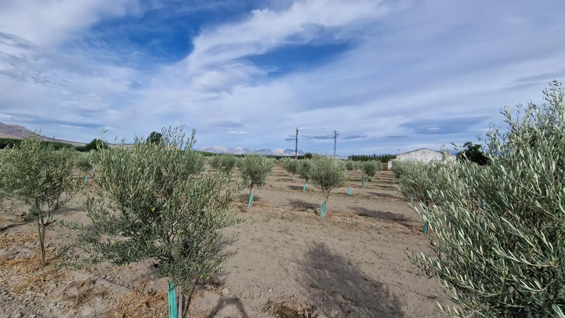 Terreno en venta en Santa Fe