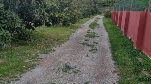 Foto 3 de Finca rústica en venda a Motril  ciudad, Granada