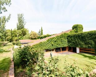 Jardí de Casa o xalet en venda en  Madrid Capital amb Jardí privat, Terrassa i Traster