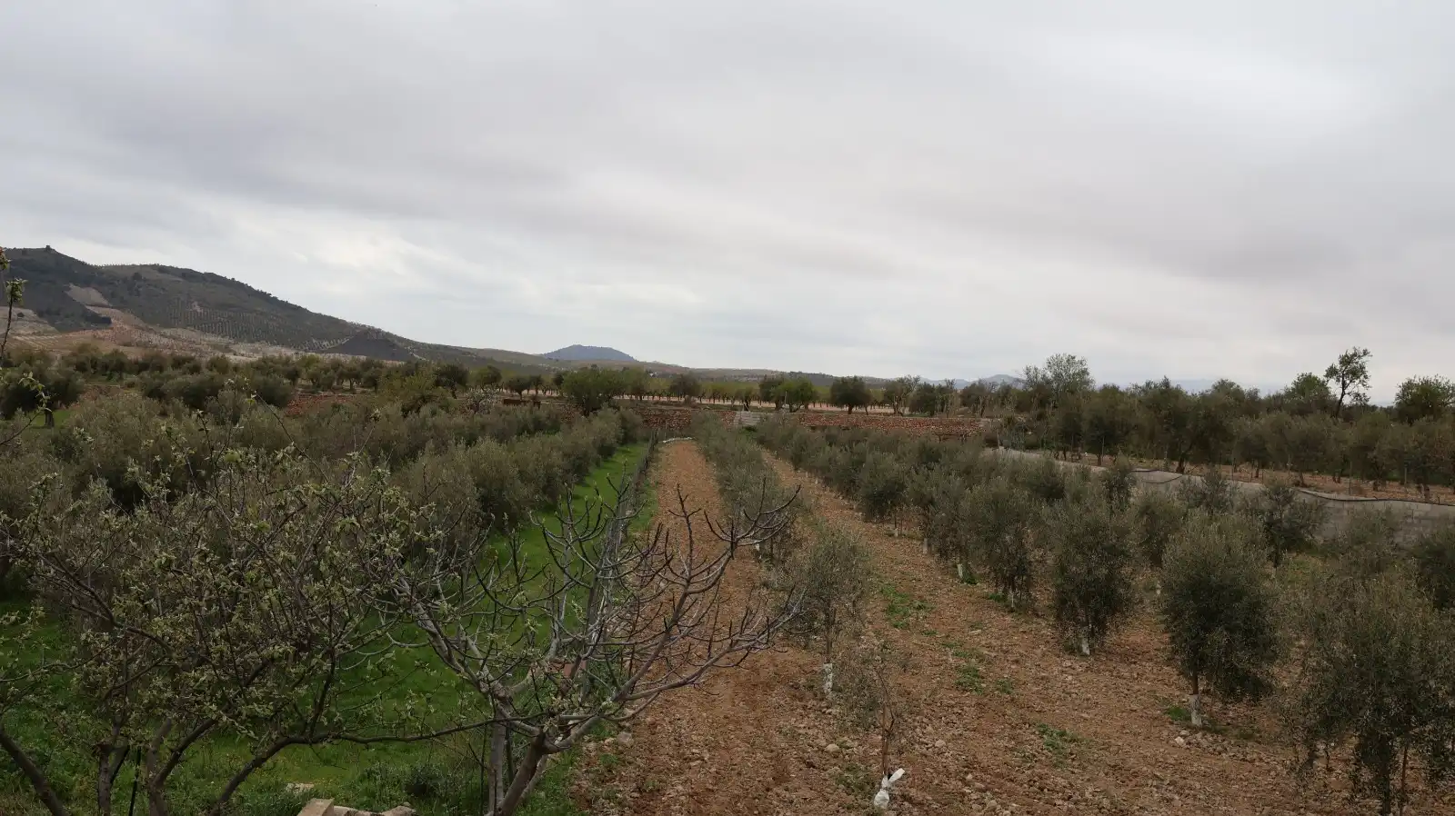 House for sale in Oria, imagen 44