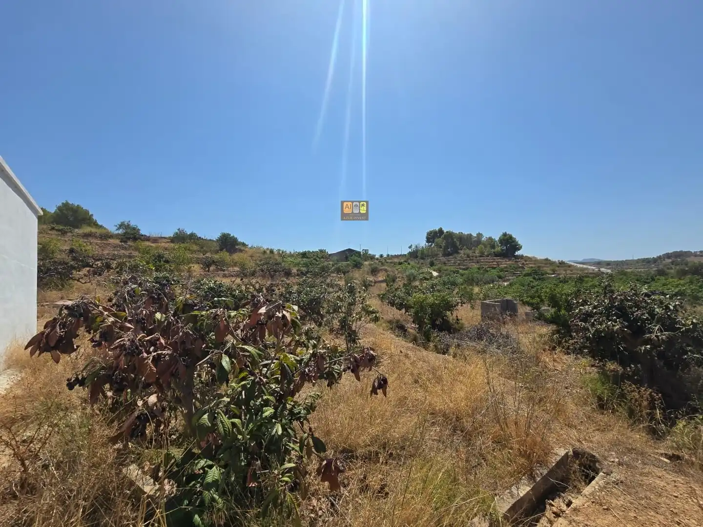 Terreno rustico in vendita a Callosa d'en Sarrià, imagen 3