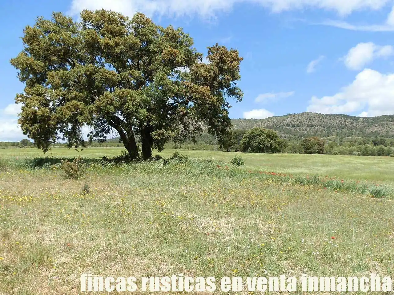 Terreni e lotti in vendita a Elche de la Sierra, imagen 9