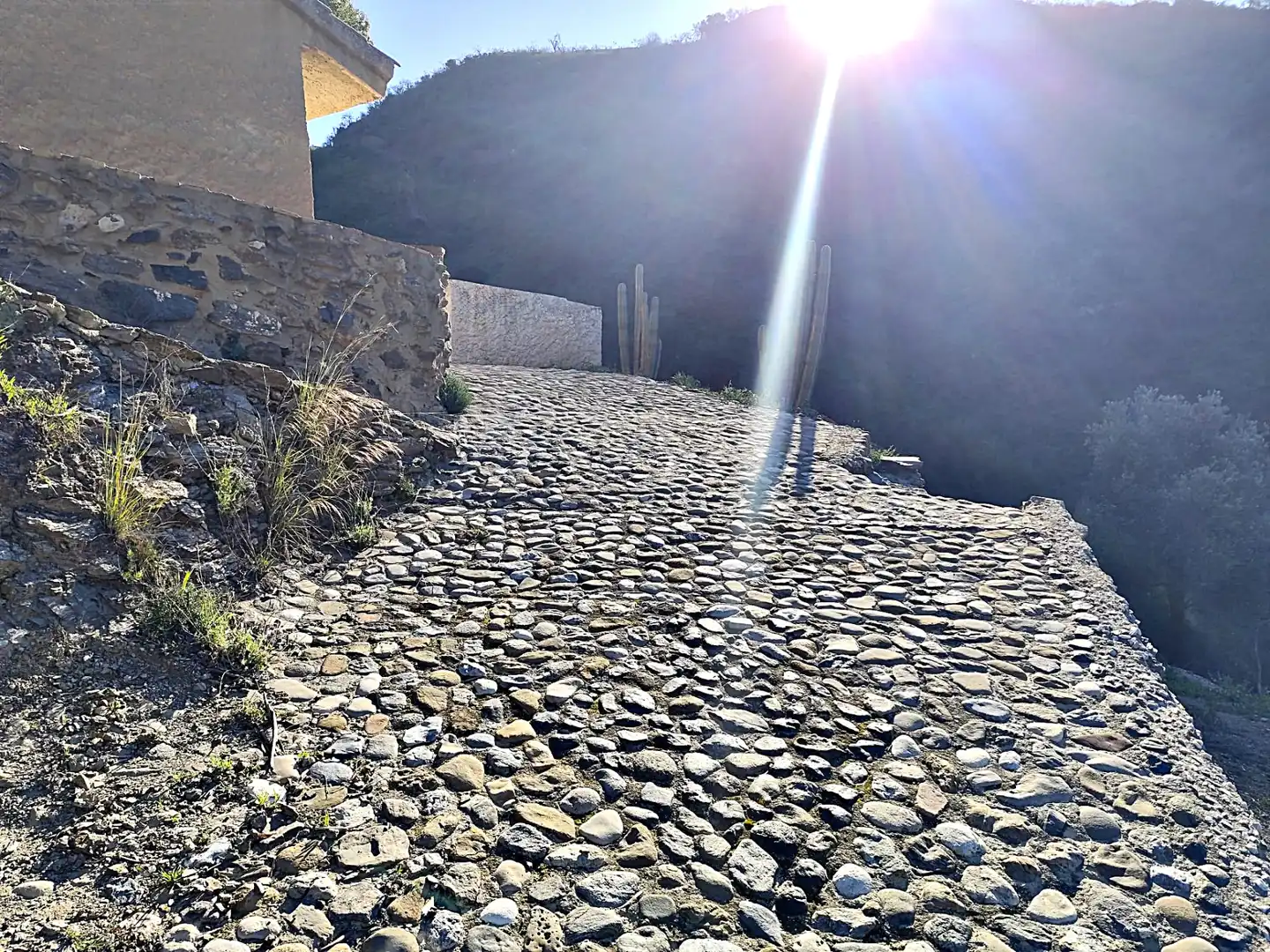 Vista exterior de Finca rústica en venda en Pizarra amb Terrassa