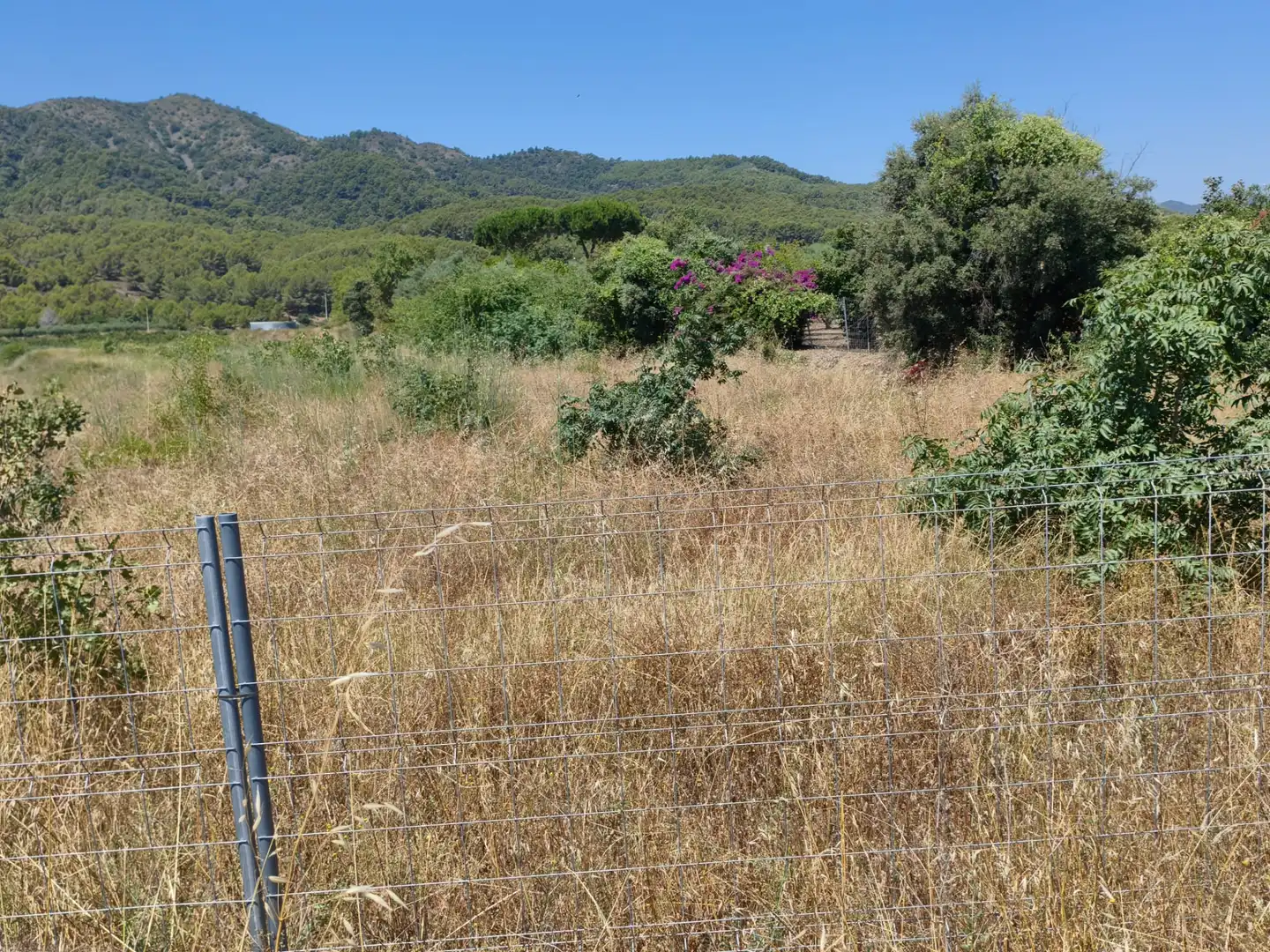 Terreno en venta en Riudecols