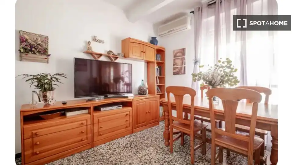 Sala d'estar de Pis per a compartir en Aspe amb Aire condicionat, Terrassa i Moblat