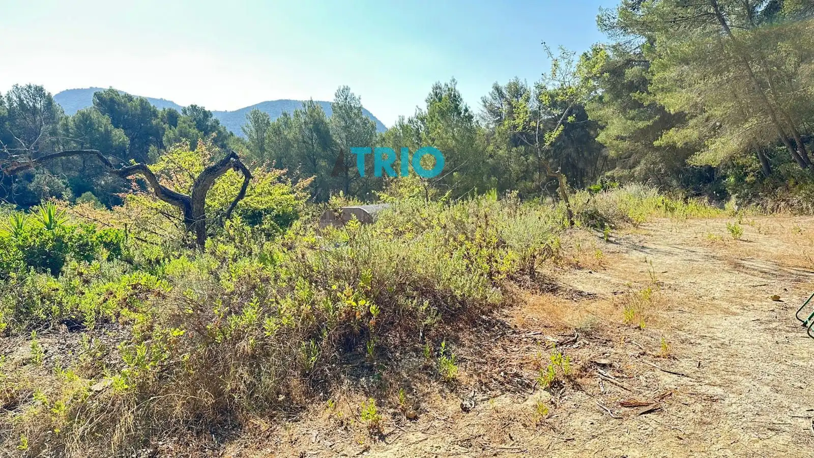 Terreno rustico in vendita a Algaida, imagen 9