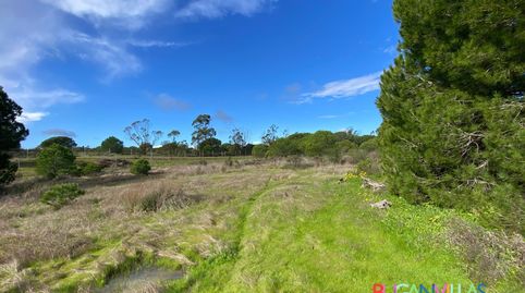 Photo 5 of Land for sale in N/a, -1, Villablanca, Huelva