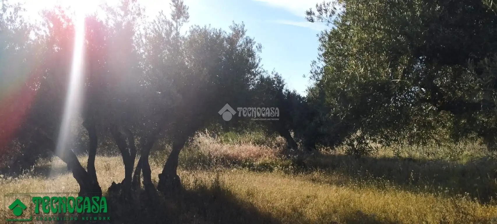 Terreni e lotti in vendita a Méntrida, imagen 10