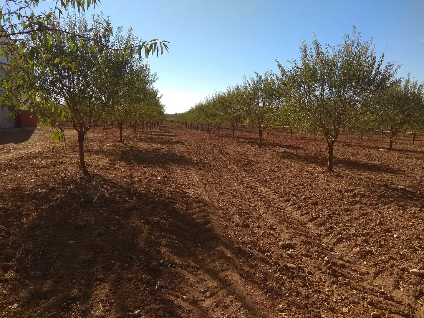 Terreni e lotti in vendita a Las Mesas, imagen 23