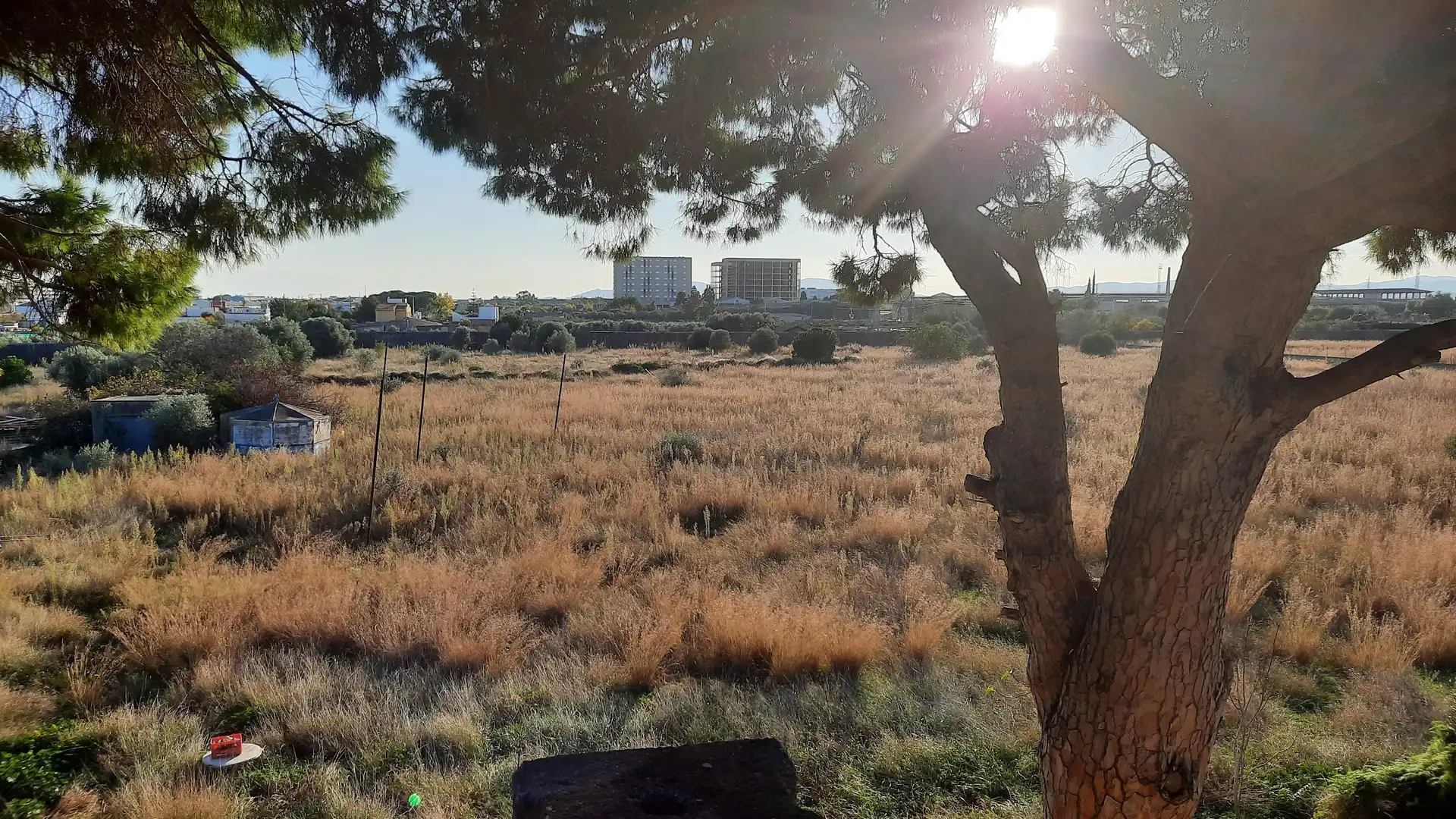 Finca rústica en venta en Plaça Poligono 29, Casco Urbano