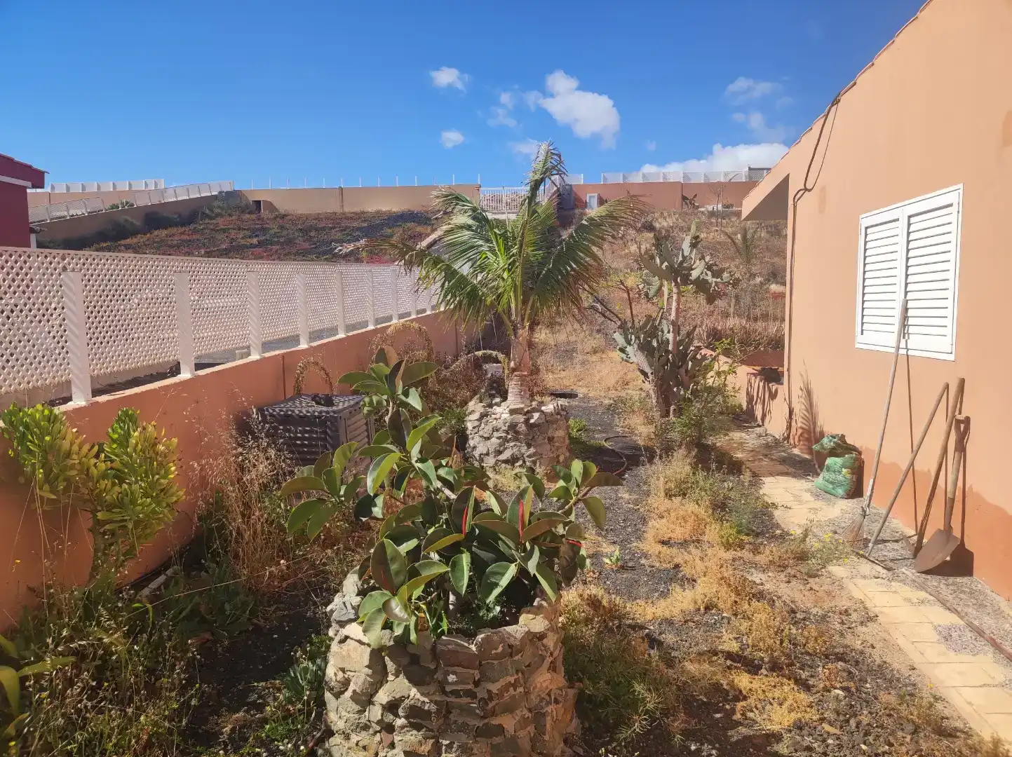 Jardí de Casa o xalet en venda en Tuineje amb Aire condicionat, Jardí privat i Piscina