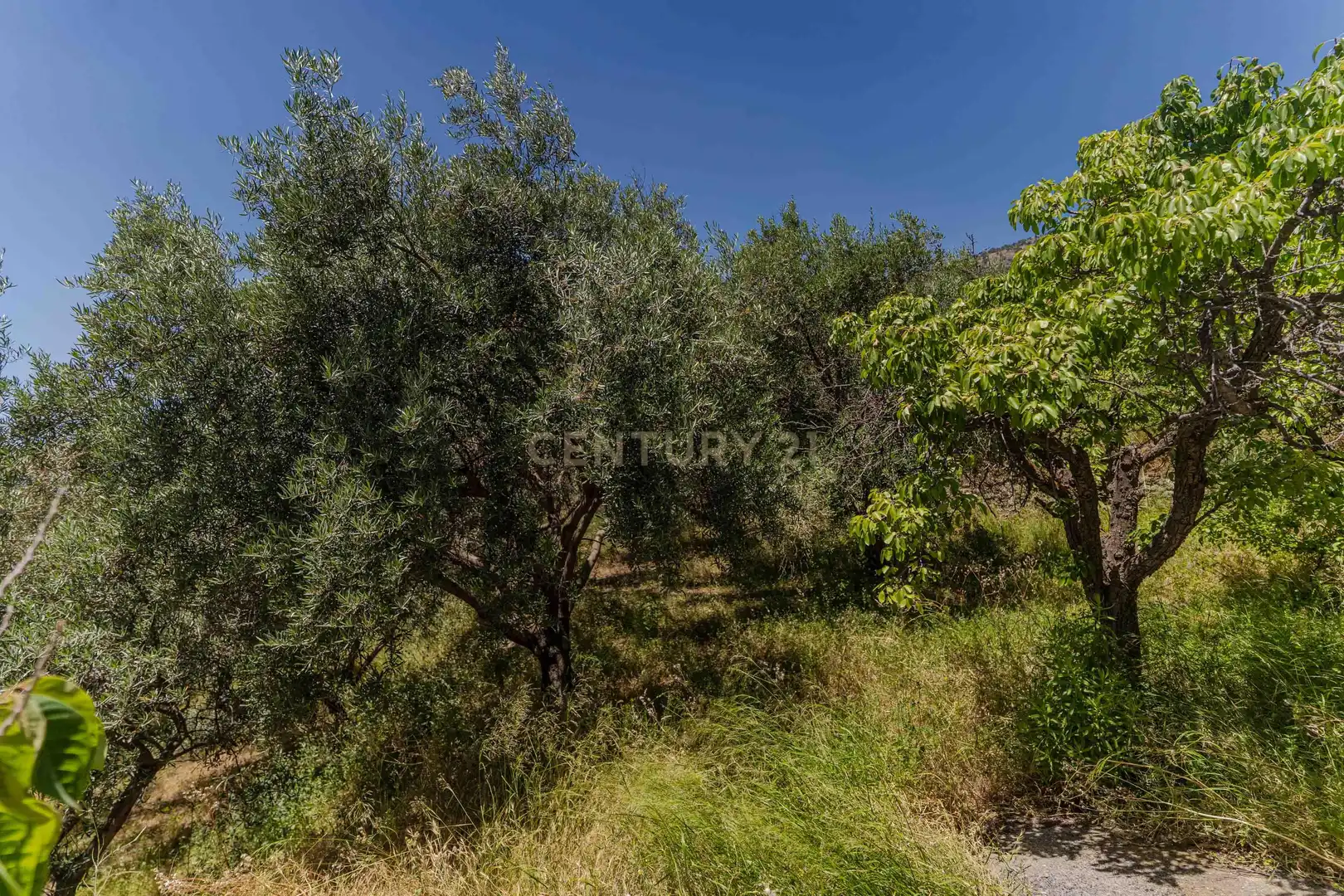 Finca rústica en venta en Carataunas con Jardín privado, Trastero y Piscina