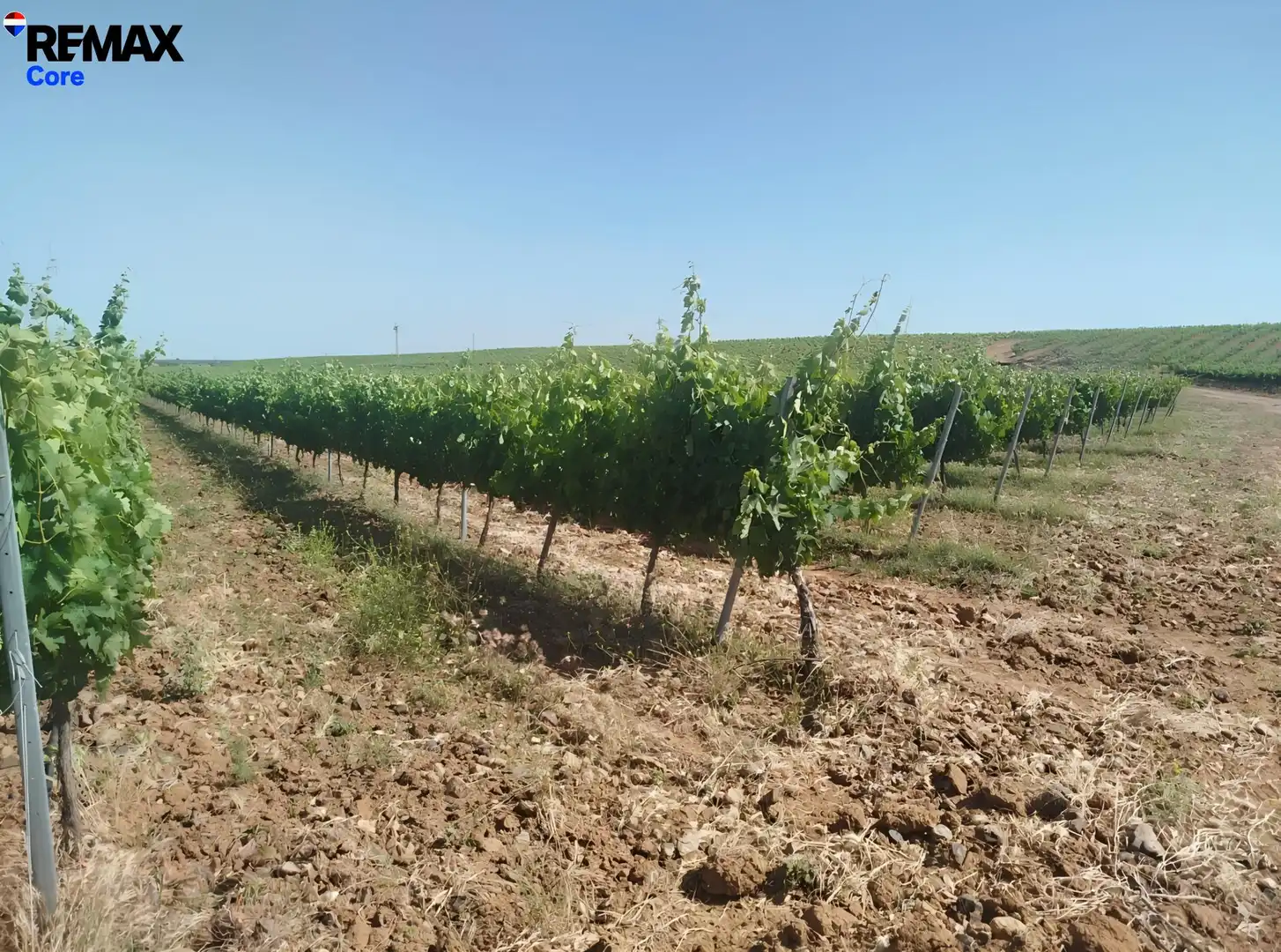 Terreni e lotti in vendita a Carretera de Sevilla - Los Montitos, imagen 6
