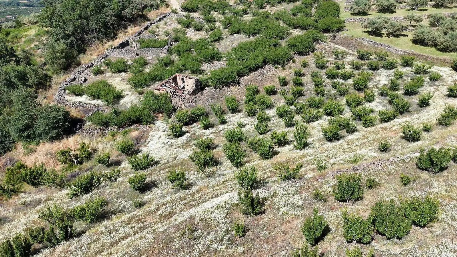 Terreni e lotti in vendita a Urbanizacion el Pajarejo, imagen 15