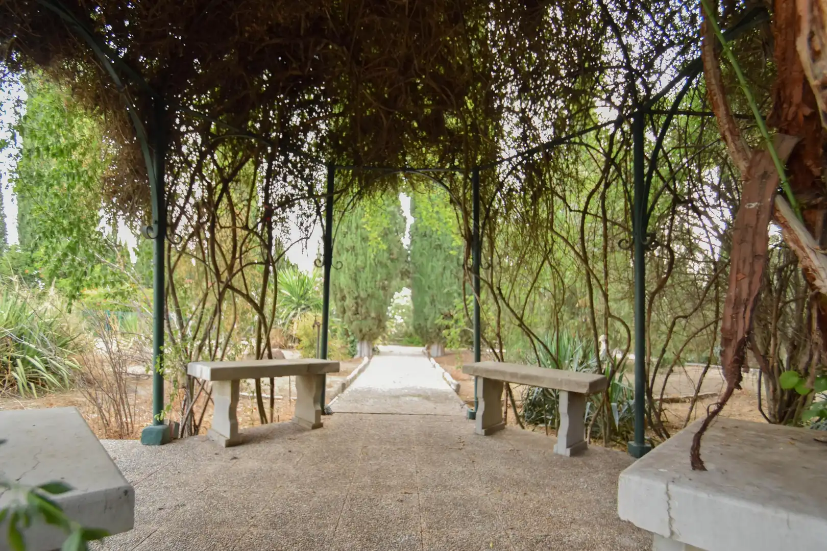 Xalet amb piscina en venda a Camino Viejo de Chimeneas #s/n #s/n #s/n #s/n #s/n, imagen 5
