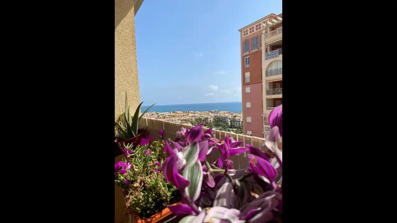 Apartament amb piscina en venda a Playa de los Locos, imagen 29