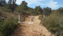 Land for sale in Algimia de Alfara