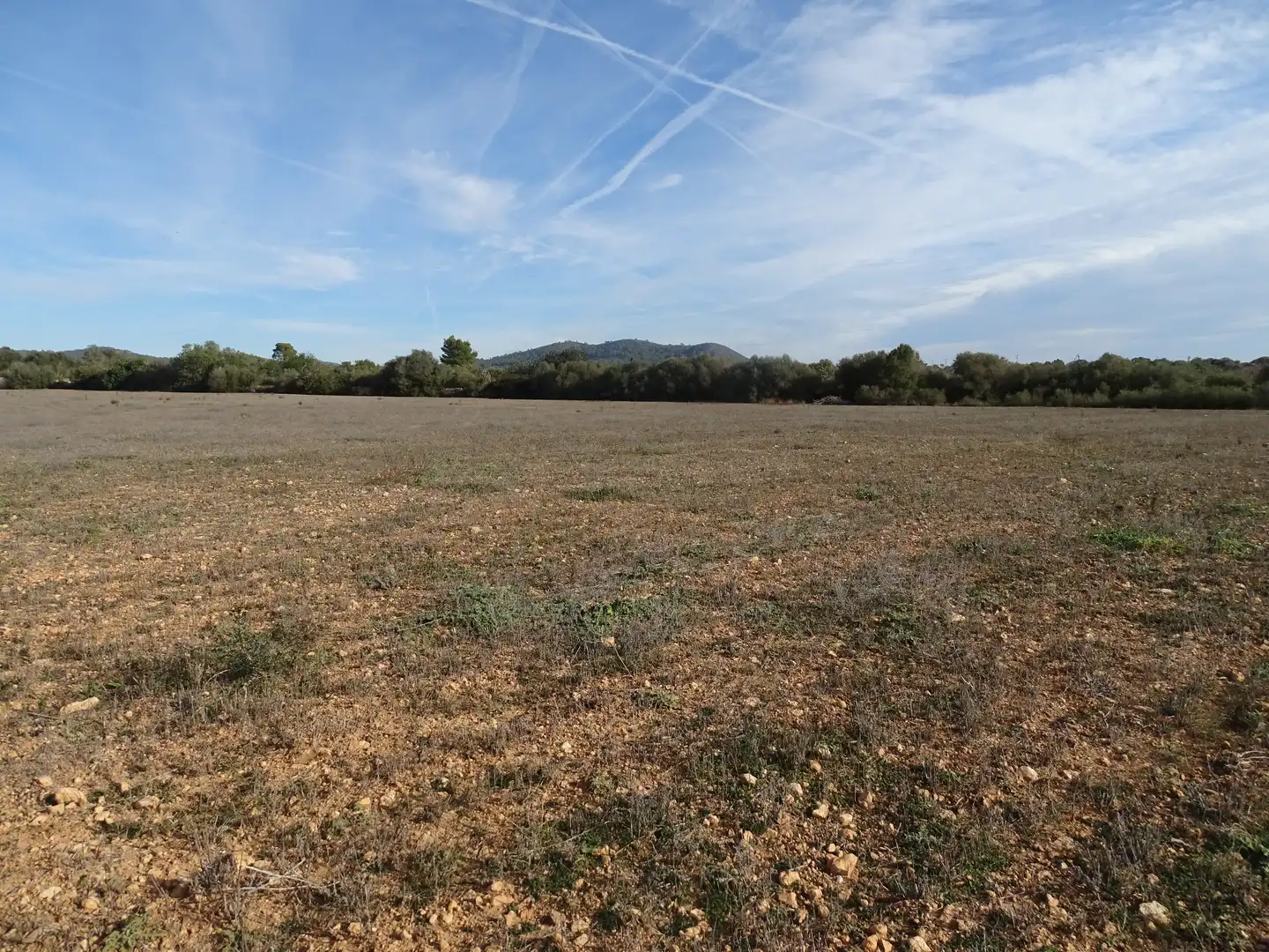 Terreno rustico in vendita a Llucmajor pueblo, imagen 14
