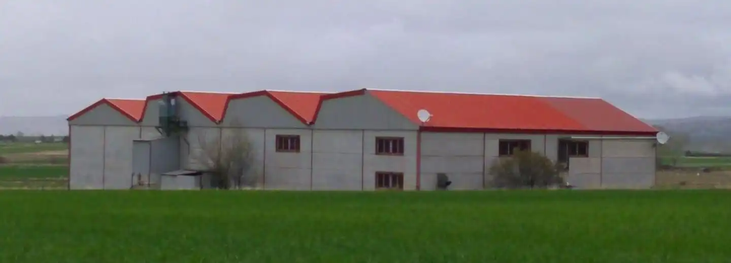 Außenansicht von Fabrikhallen zum Verkauf in Gemuño