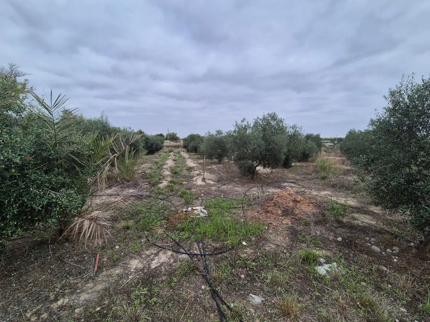 Finca rústica en venda en Las Torres de Cotillas amb Jardí privat, Terrassa i Traster