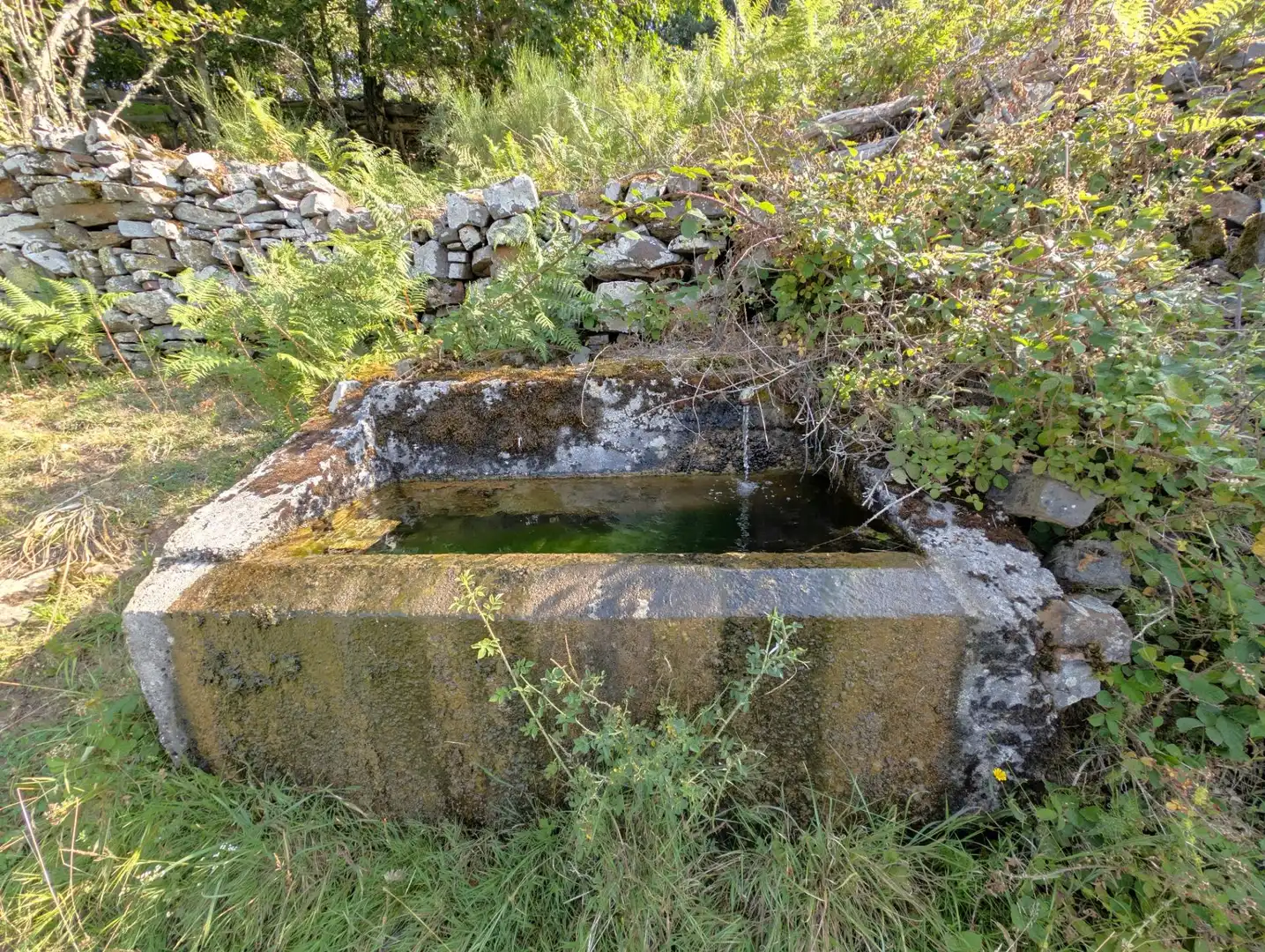 Jardí de Casa o xalet en venda en Aller amb Jardí privat