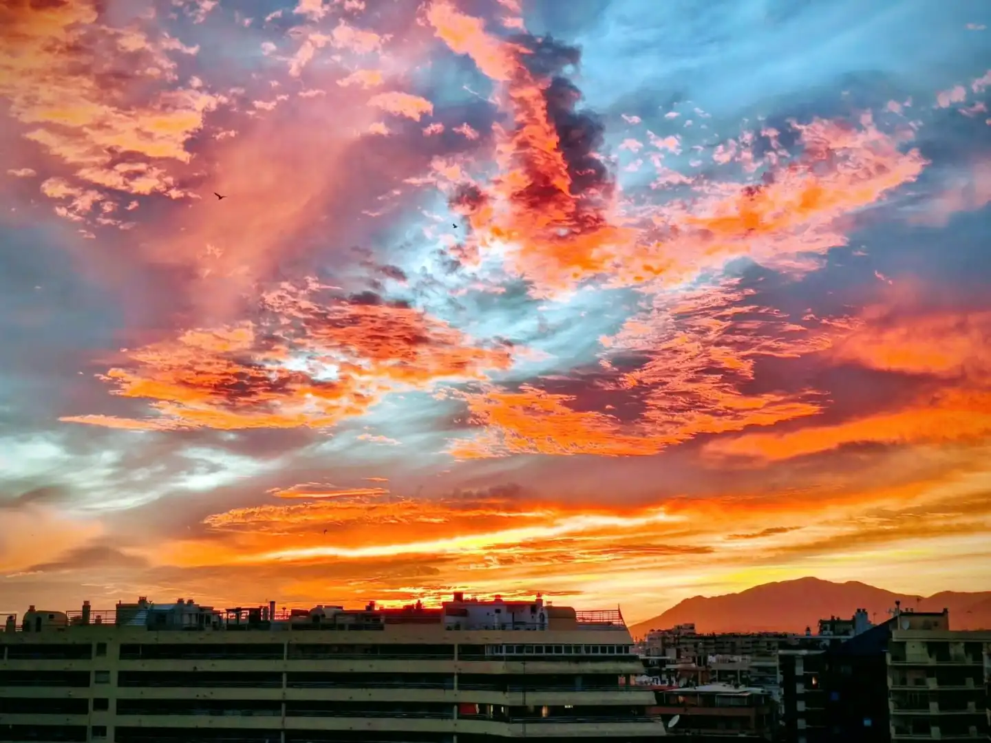 Vista exterior de Àtic en venda en Marbella amb Aire condicionat, Terrassa i Forn