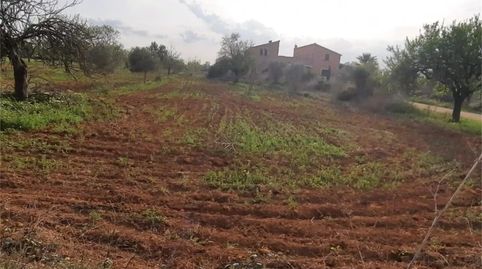 Foto 3 de Finca rústica en venta en Camí de Sant Blai, Zona Rústica - Interior, Campos