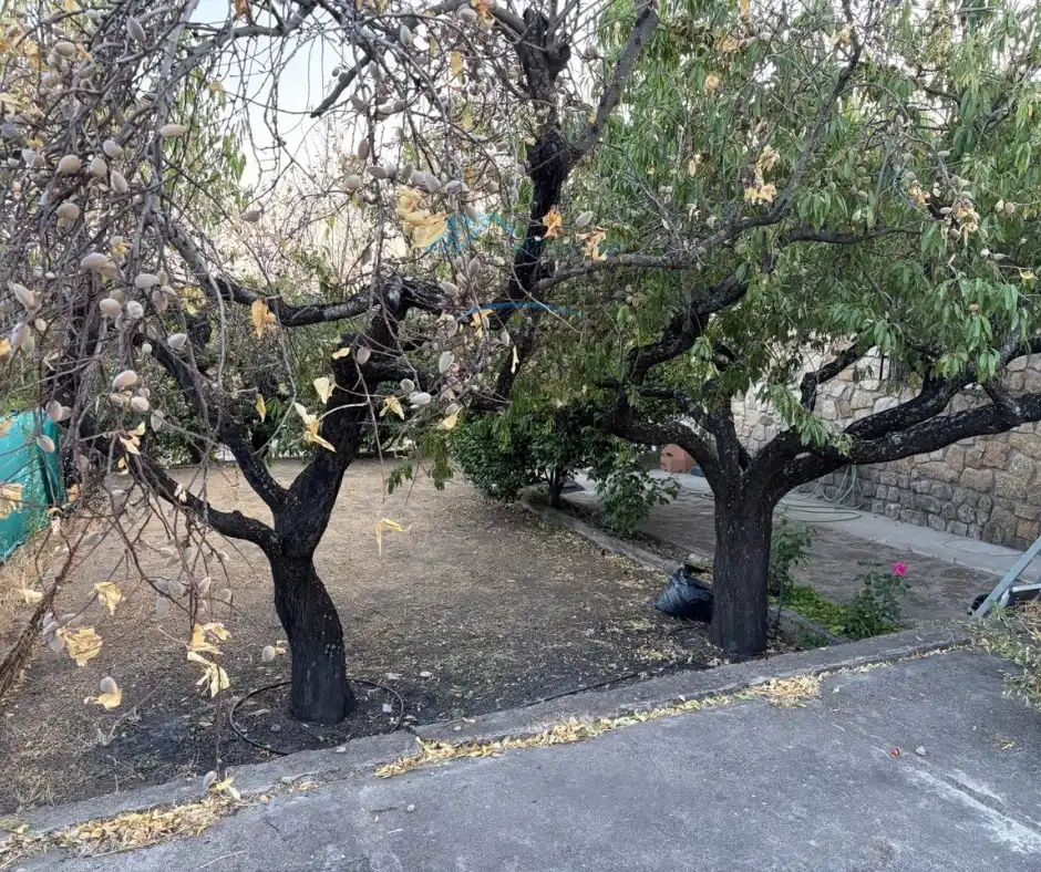 Xalet amb jardí en venda a Paraje los Alisos 10, imagen 22