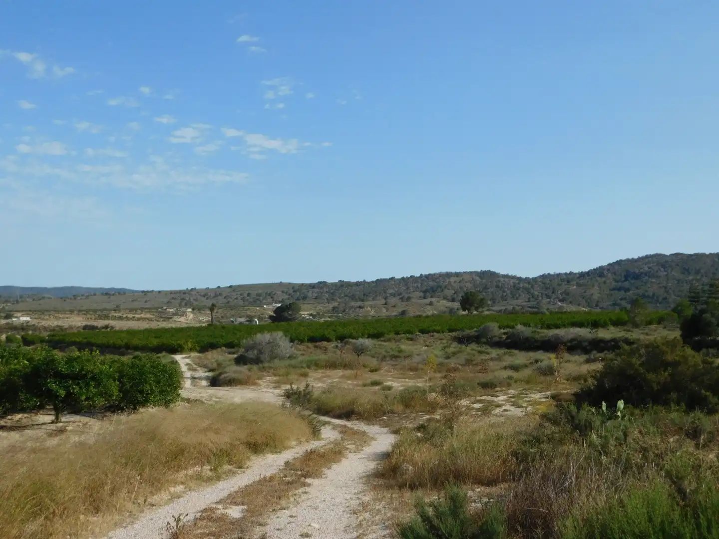 Terreno residencial en venta en San Miguel de Salinas, imagen 5
