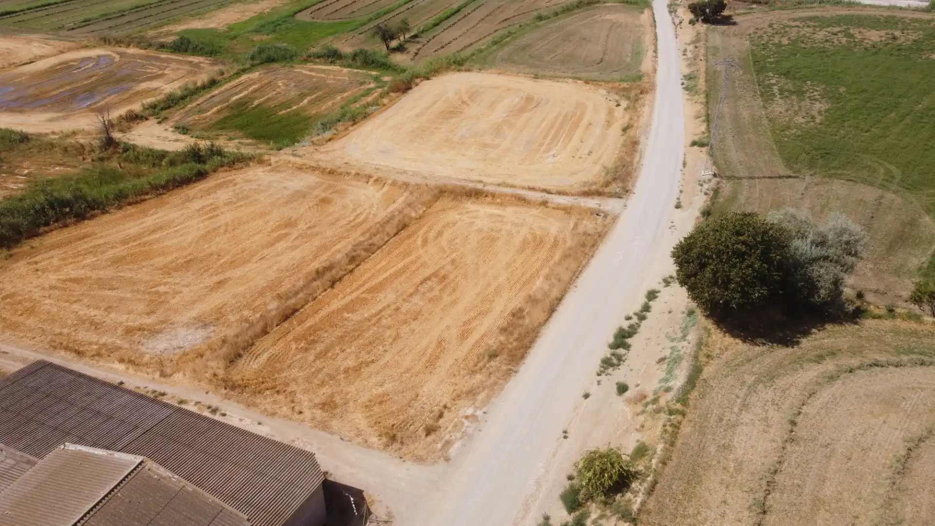 Land for sale in Linyola