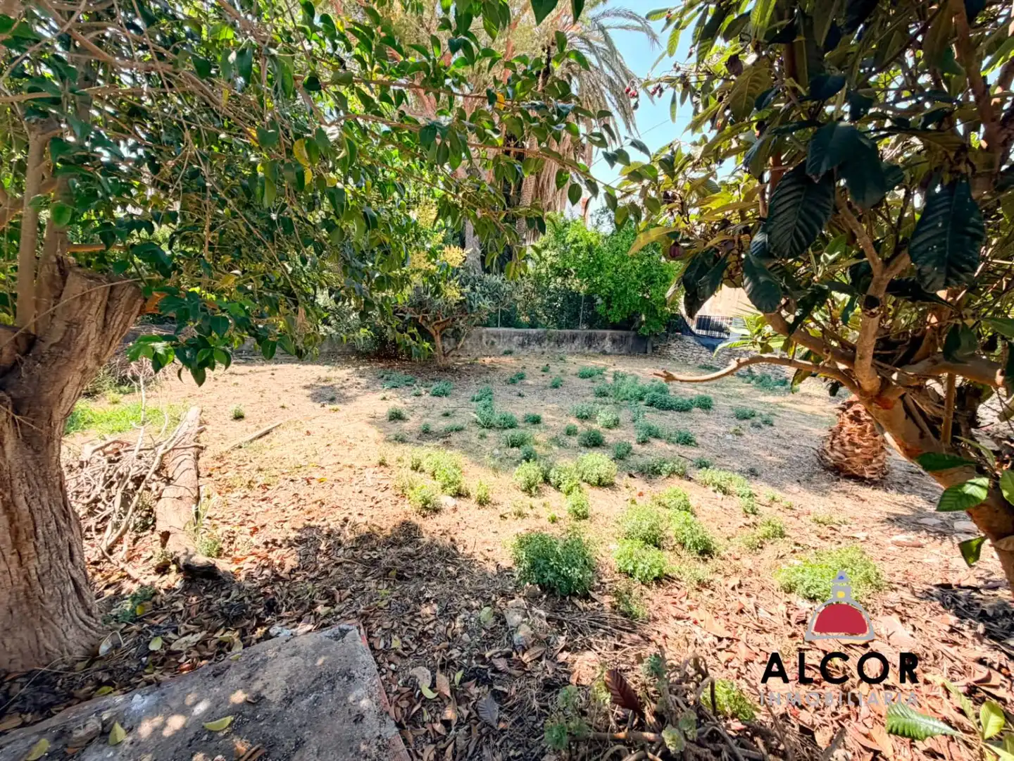 Lands and plots for sale in Alcalà de Xivert pueblo, imagen 2