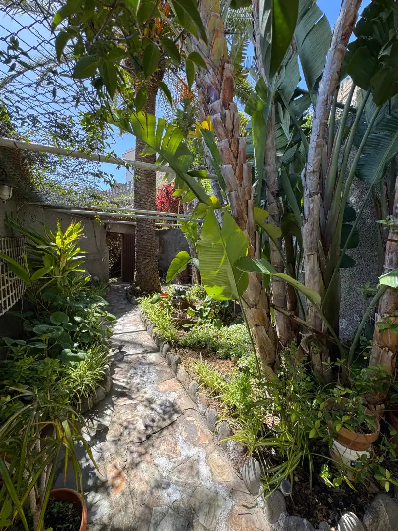 Casa o xalet en venda a Fasnia