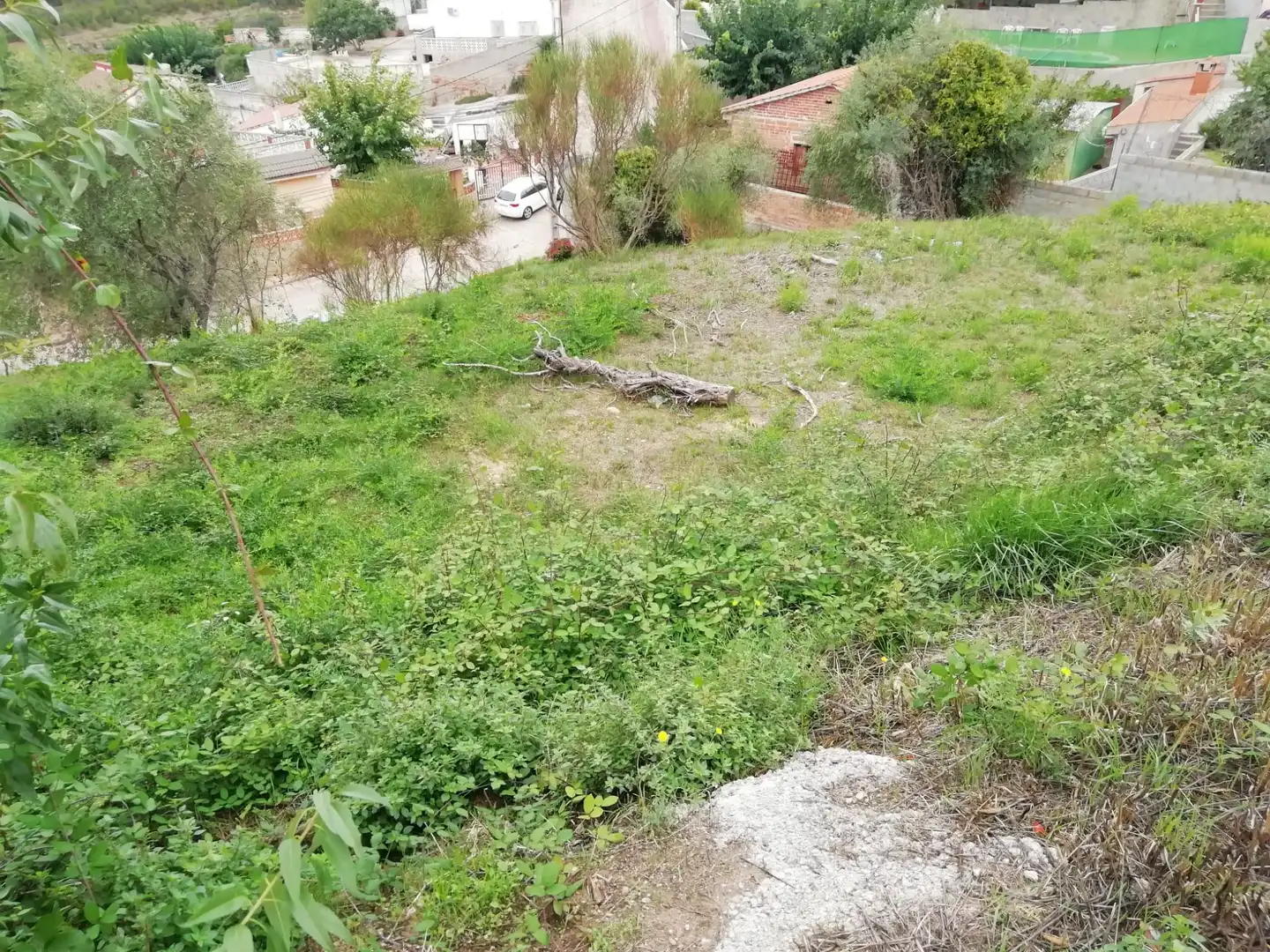 Terreno rustico in vendita a Piera, imagen 5