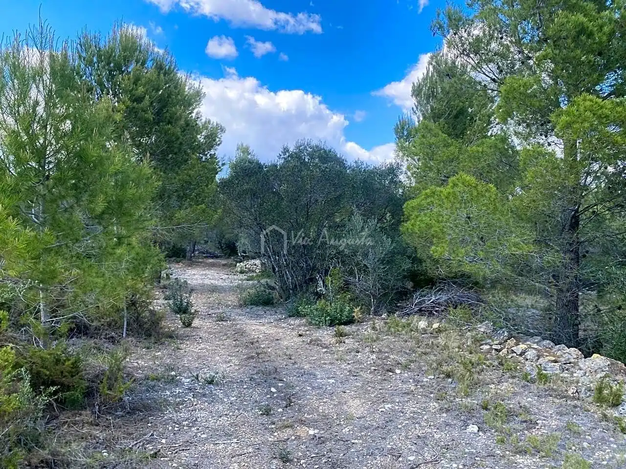 Terreno rustico in vendita a Ligallo de les Bordes, imagen 22