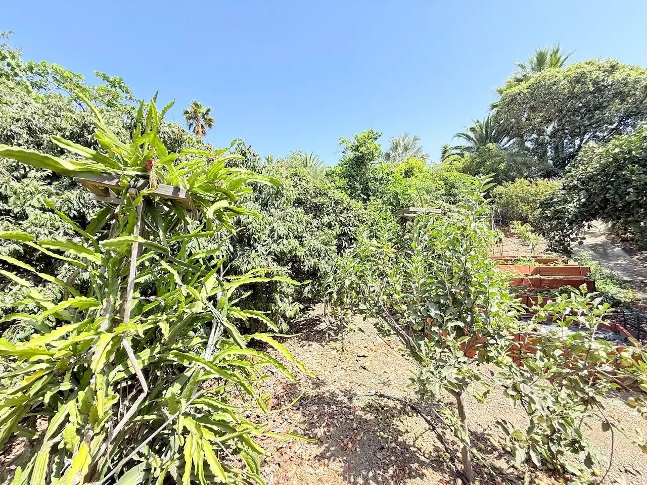 Casa o chalet en venta en Vélez-Málaga con Aire acondicionado, Calefacción y Jardín privado