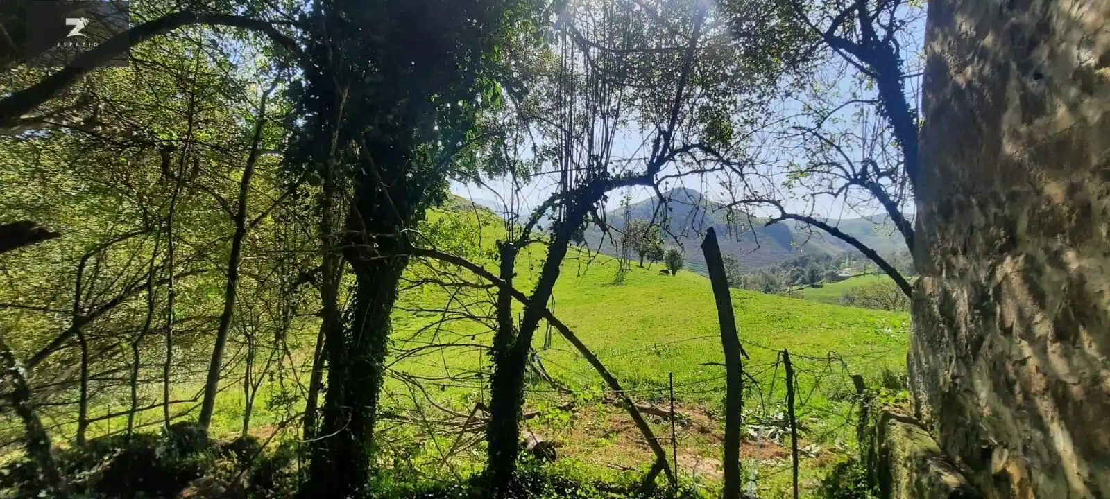 Houses for sale in San Roque de Riomiera