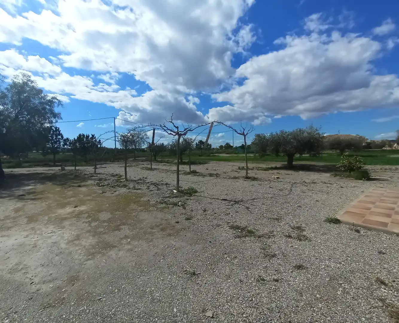 Finca rústica en venda a Puerto Lumbreras