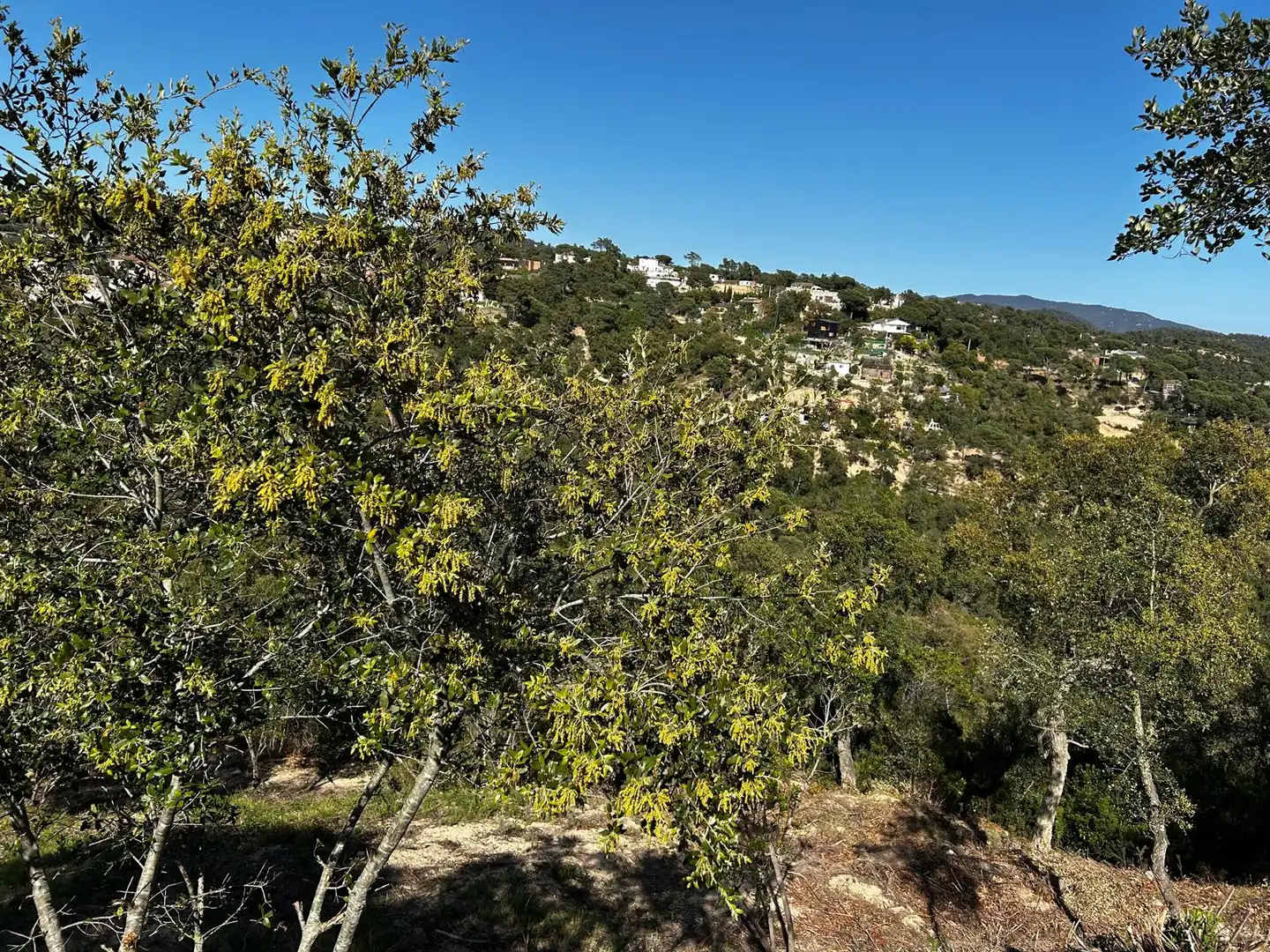 Wohnbaugrundstück zum Verkauf in Lloret Residencial - Montlloret, imagen 8