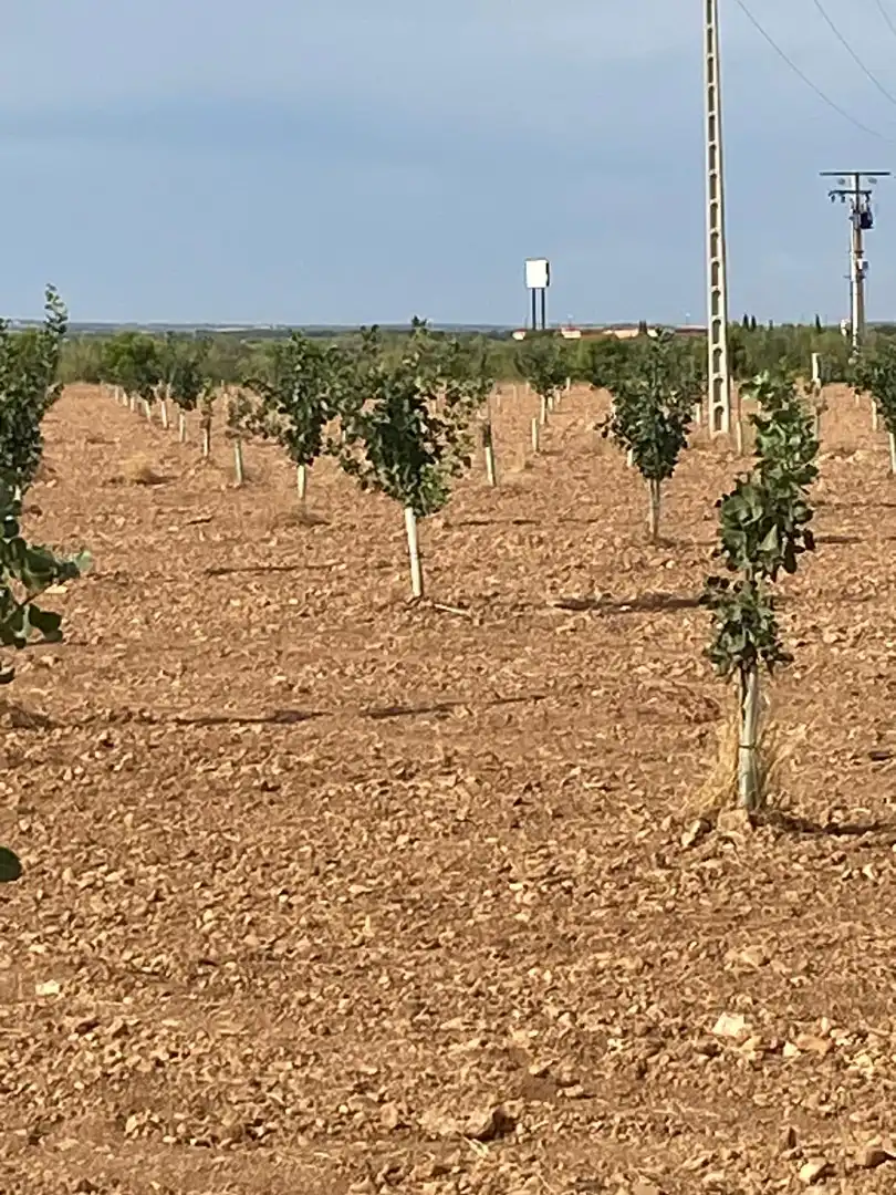 Terreno rustico in vendita a Calle García Pavón, imagen 12