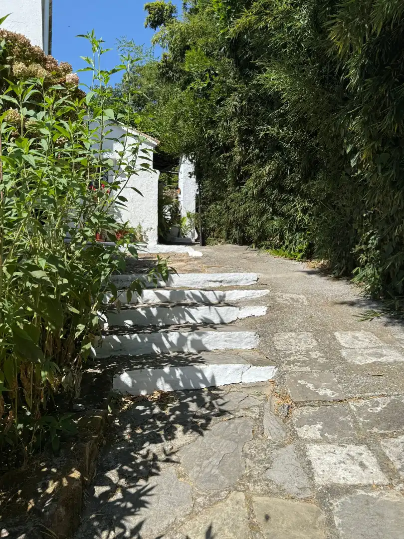 Vista exterior de Casa o chalet en venta en Algeciras con Jardín privado, Terraza y Piscina