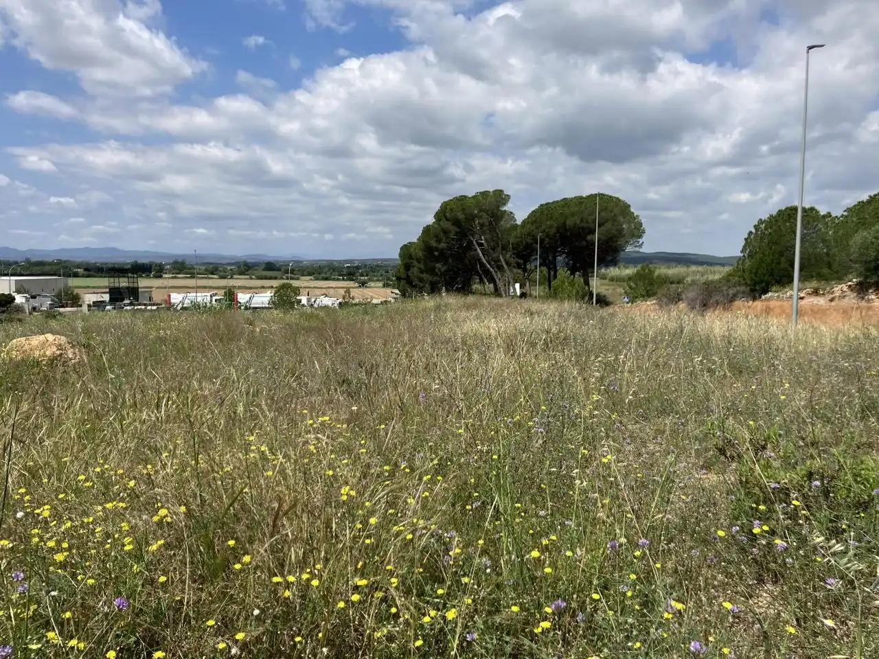 Terreny industrial en venda a Esganyadora, Riells
