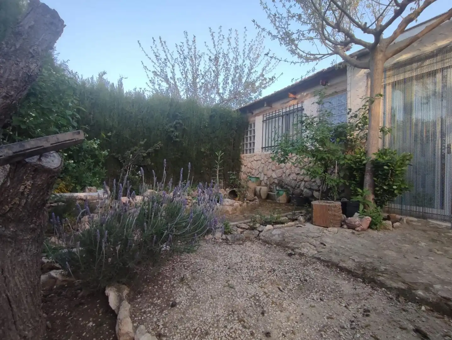 Villa con giardino in vendita a El Pinós / Pinoso, imagen 7