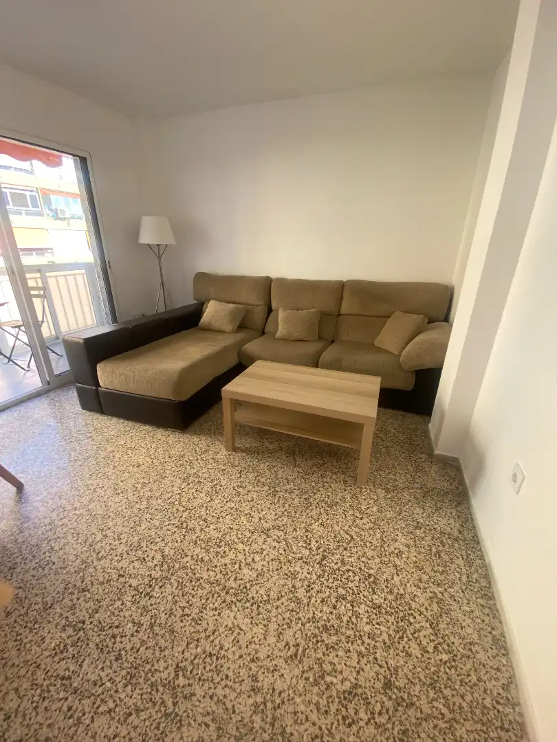 Living room of Flat for rent in Málaga  with Terrace, Furnished and Oven