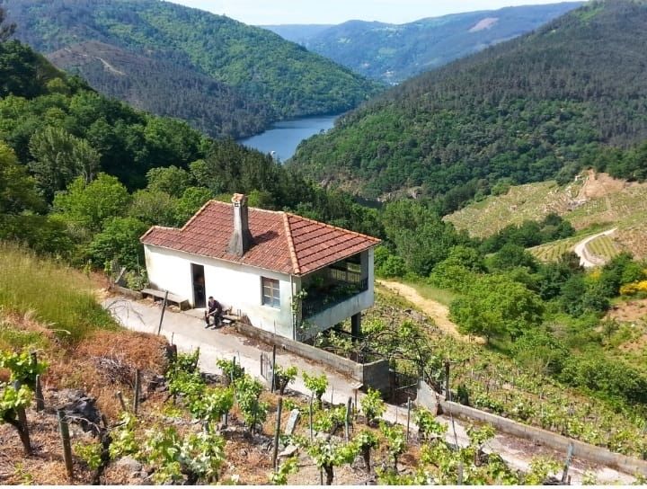 Exterior view of Country house for sale in O Saviñao   with Private garden, Storage room and Balcony