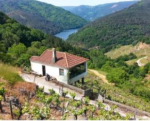 Exterior view of Country house for sale in O Saviñao   with Private garden, Storage room and Balcony