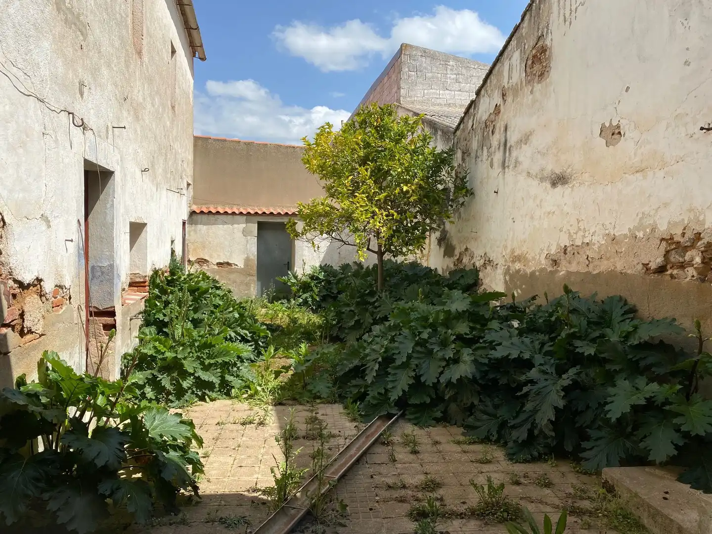 Jardín de Casa o chalet en venta en Castuera
